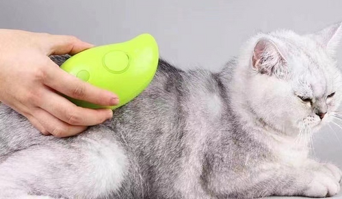 Pawsh steam brush calming a cat while lifting loose fur